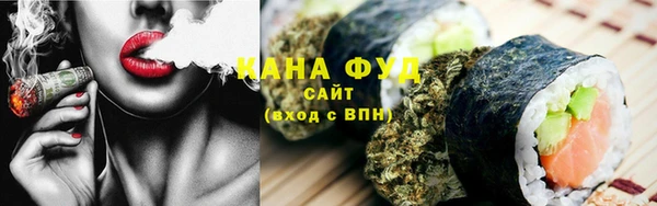 Альфа ПВП Горняк