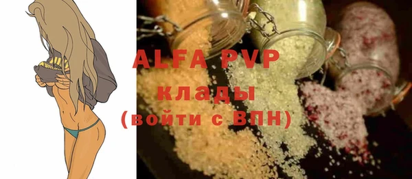 Альфа ПВП Горняк