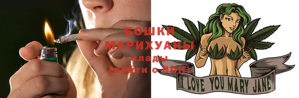Альфа ПВП Горняк