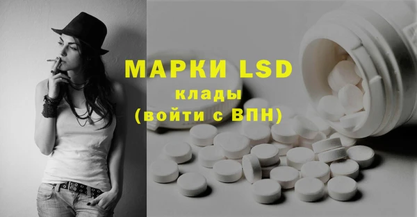 Альфа ПВП Горняк