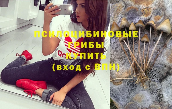 гашик Горнозаводск