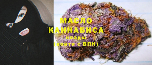Альфа ПВП Горняк
