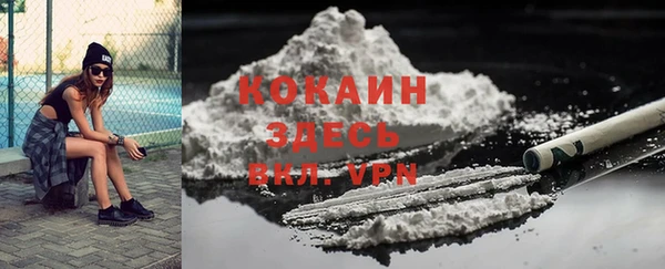 Альфа ПВП Горняк