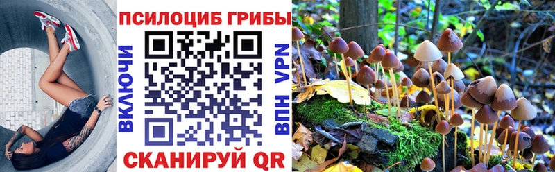 где продают   Кострома  Галлюциногенные грибы Magic Shrooms 