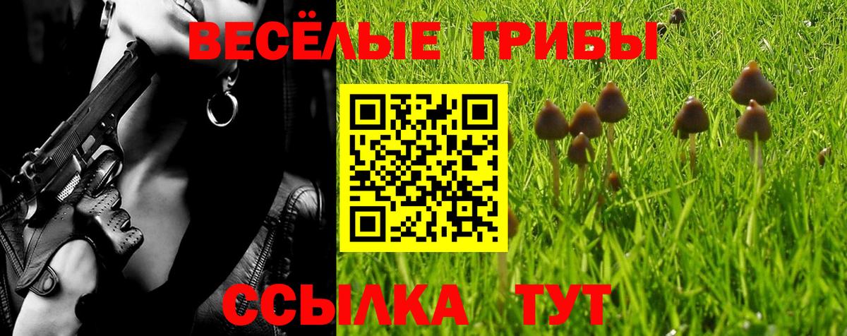 Кострома  магазин продажи наркотиков  Вход с VPN  Псилоцибиновые грибы Psilocybine cubensis 