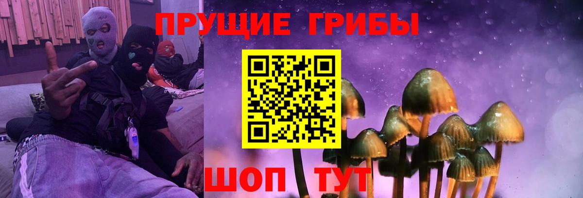 Псилоцибиновые грибы GOLDEN TEACHER Кострома